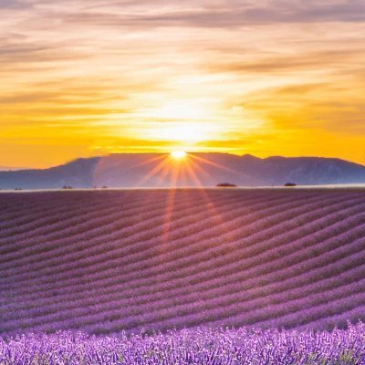 sumpmencur's profile picture. 