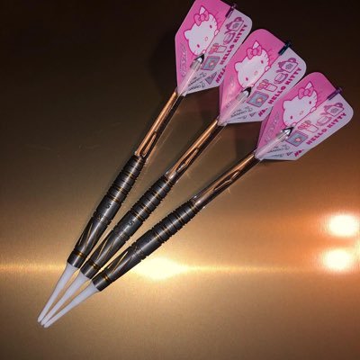 Akikitty_darts Profile Picture