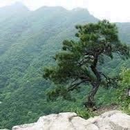 frzwnd70's profile picture. Shill your Crypto & NFT Projects 📈🚀 Crypto Influencer