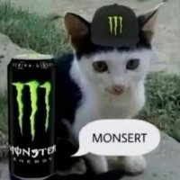 just chillin (@imkevvx) 's Twitter Profile