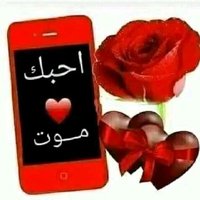 Ahmed ali (@ahmedal00719256) Twitter profile photo