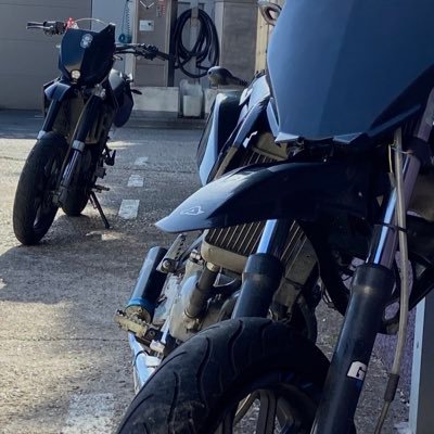 El_Pipistrel's profile picture. 