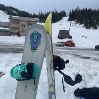 Gooby (@goobynf) 's Twitter Profile