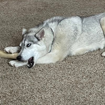 Dante_7816's profile picture. 