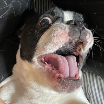 laurenanabela's profile picture. #FundHumanARTists