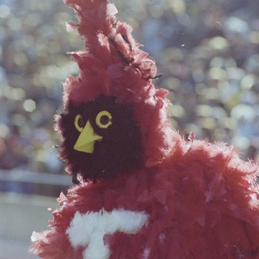 297Kjm's profile picture. Twitter Conference account for Com 297 on the topic of nightlife at Illinois State Univeristy