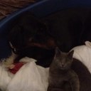 Ben Guy - @benguy967 - Twitter