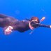 Dr Constance Schéré 🤿🐟🐧 (@constanceschere) Twitter profile photo Dr Constance Schéré 🤿🐟🐧 (@constanceschere) Twitter profile photo