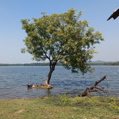 RohitBadge04's profile picture. Making someone smile is key of expanding your network.