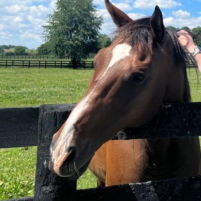 anonymoushorze's profile picture. I work at a barn