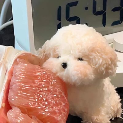 ylk1237's profile picture. 20岁，泛性恋1，可以一夜9次