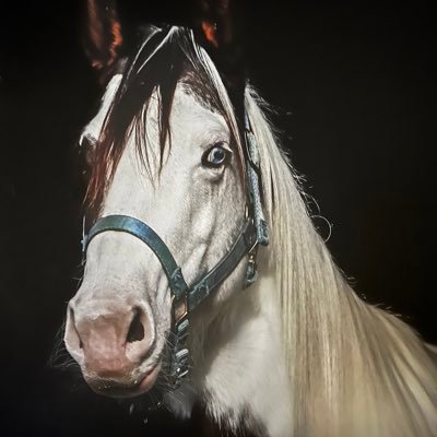 SherylJean1965's profile picture. Wife of a retired Texas Law Enforcement Official, mother of 2 adult children, NaNa to 3 grandchildren, and a Gen X Christian Conservative. I support Israel.