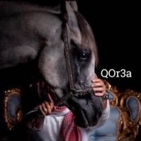 OQr3a