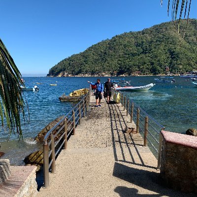 cknightsrad's profile picture. Truth seeker.

Likes DO NOT mean an endorsement. 
Just my way of collecting receipts.
All of which I have...