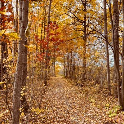 BeaucageJn's profile picture. 