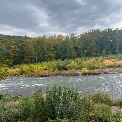 gaitreeB's profile picture. Came into existence : March 82