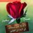 hafizUl14976715's profile image