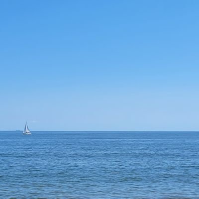 LIOxOU's profile picture. フォロー非推奨ハッピー雑多オタク    考えられない葦    王冠はやっぱり2個     126Veg80