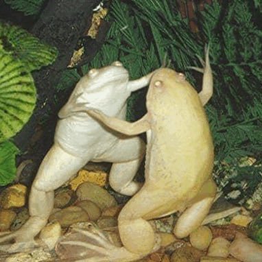 FakeluisS's profile picture. 🏔 we all got mountains of our own 🏔 |