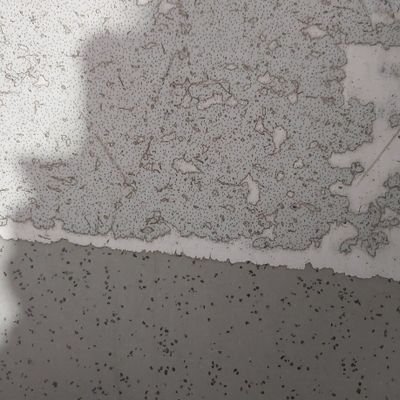 Lauraopina10's profile picture. opiniones y ya