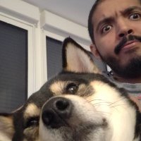 tim (@timyhq) 's Twitter Profile
