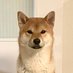 Eugene (@dontlaughatmy) Twitter profile photo Eugene (@dontlaughatmy) Twitter profile photo