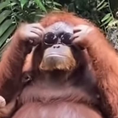 ehokej's profile picture. 