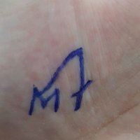 MF (@te_qtv) Twitter profile photo