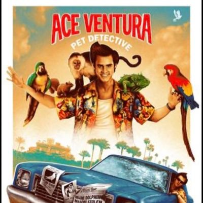 BUMBLEBTuna3's profile picture. 