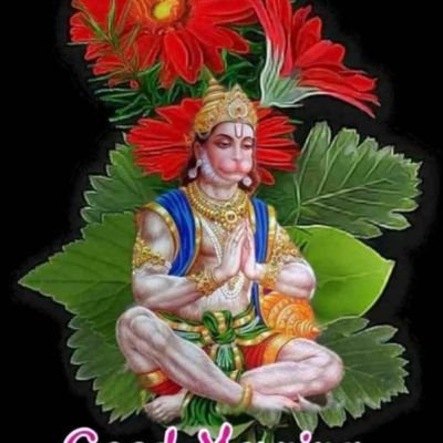 RashidK24903716's profile picture. rashid