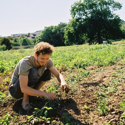 Vegetation ecologist @CRC_AquaDiva @unijena with a strong interest in environmental influence on plant #phenology and #functionaltraits