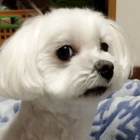 みなっち (@zrbmgxfln4p6wa2) 's Twitter Profile