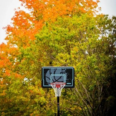 MalikGE3E's profile picture. 🏀🎵🖥🎬🎮☪️