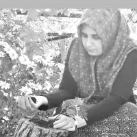 Şifa Keçeli (@kecelisifa) Twitter profile photo