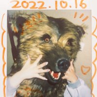 🧸りき🧸熊音 (@gin_and_vermut) 's Twitter Profile