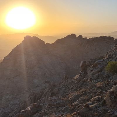 reza_e888's profile picture. 