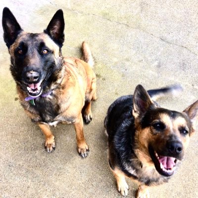 Nopattkatie's profile picture. I sometimes (almost always) say too much. 🇺🇸🇺🇸