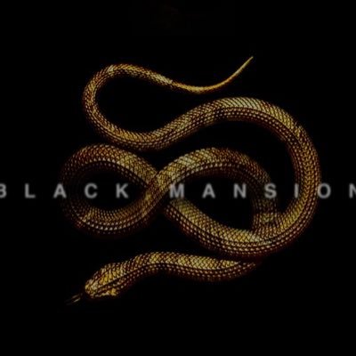 Black Mansion Films