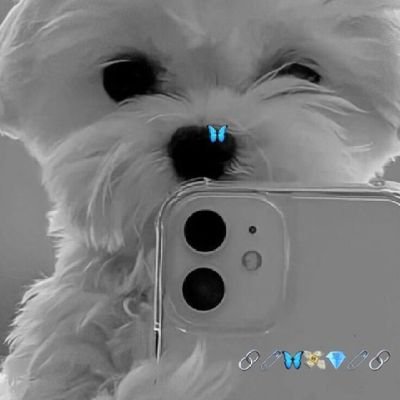 Manuh7013's profile picture. 