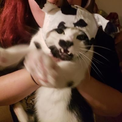 chikinnudlesoop's profile picture. 