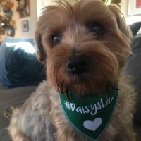 Daisy (@rapeconception) 's Twitter Profile