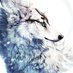 mystical fox (@mysticalfox17) Twitter profile photo