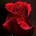 BellaRose1215 (@rose1215bella) Twitter profile photo BellaRose1215 (@rose1215bella) Twitter profile photo