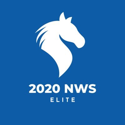 Transforming Visions into Market Leaders.
2020 NWS Elite — Your Partner in Brand Growth & Market Domination.