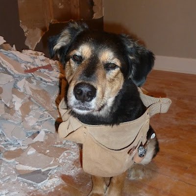 LucLebl33664224's profile picture. 