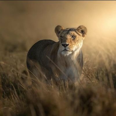 KaranisjnrSir's profile picture. 