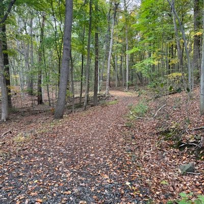 mrcruzzing's profile picture. “He can be a real asshole at times”. - My mom