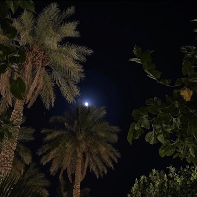 ومثل النخيل خلقت أنا وهامِتي فوق ما أعتدت أنا أنحِي قامتي إلا فصلاتي 🖤✨