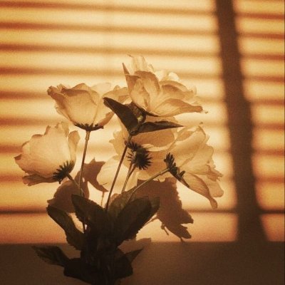 miss_mistake__'s profile picture. 