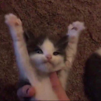 JustAiz_'s profile picture. I’m on the come up 🤫🤫 | (next world champion)